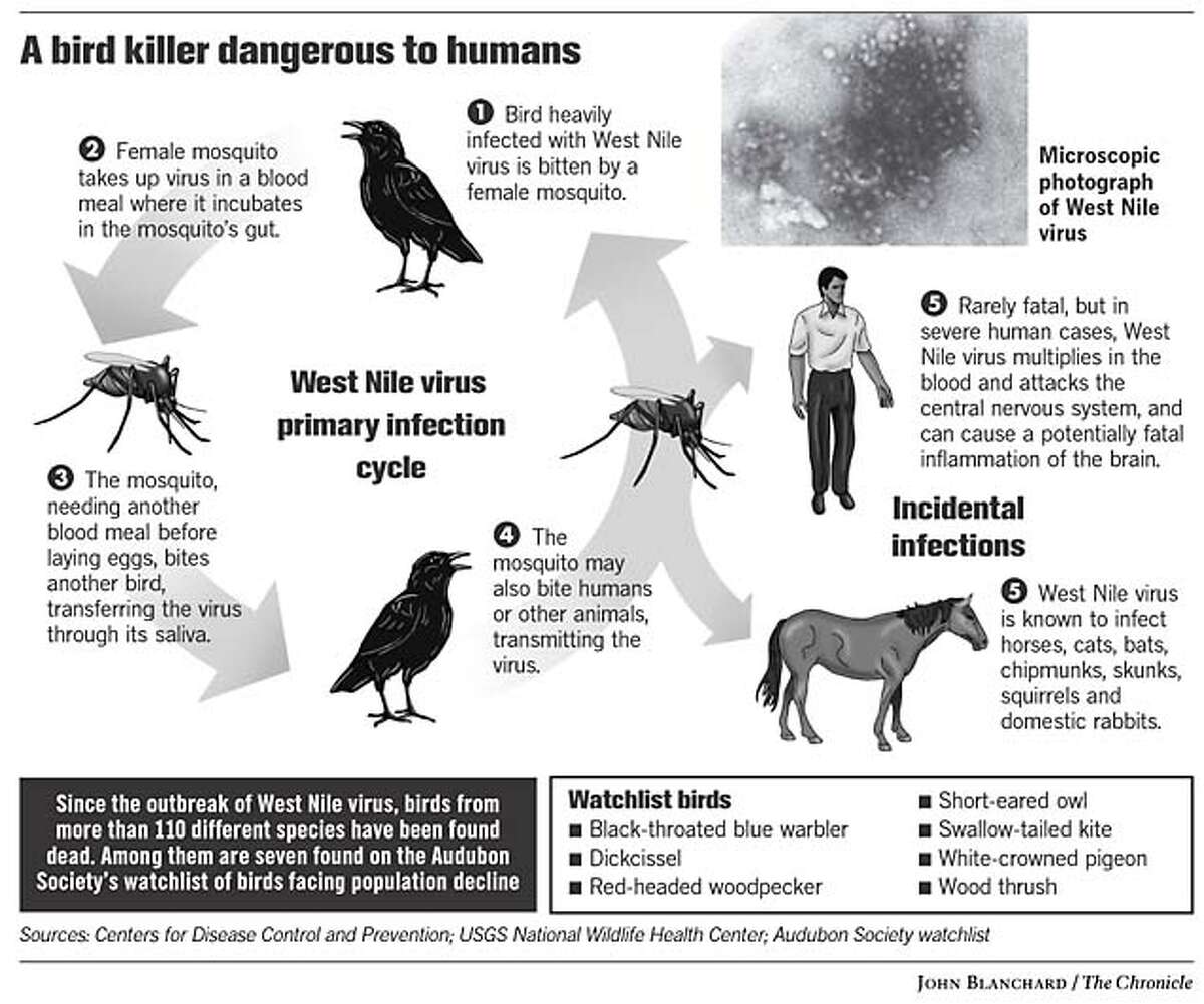 West Nile virus alert / Public health agencies in state gird for battle