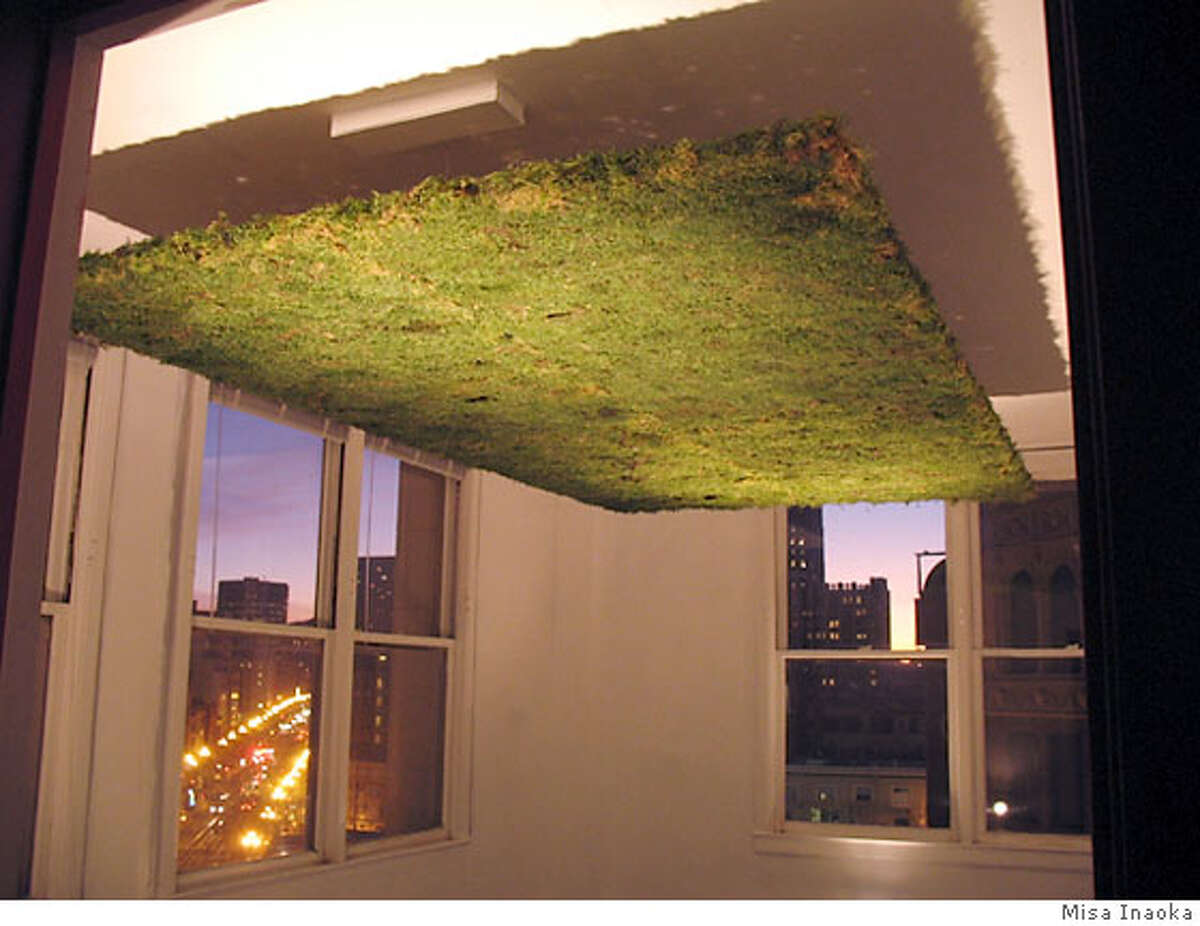 Misa Inaoka's piece, "Moss Ceiling", is part of the "Excavations" group show