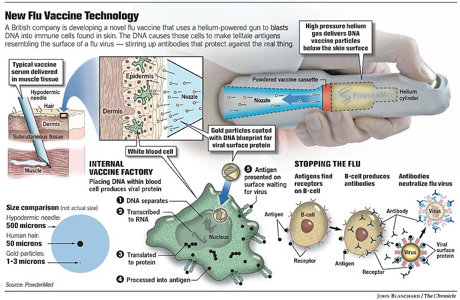 Innovative vaccines will be critical in fighting bird flu / It's tough