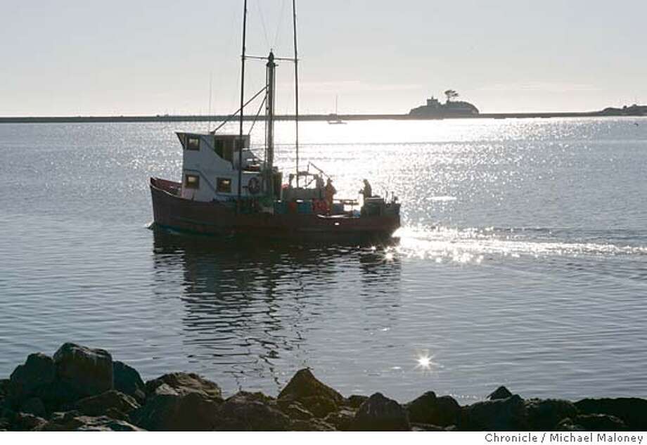 What caused the crescent city tsunami