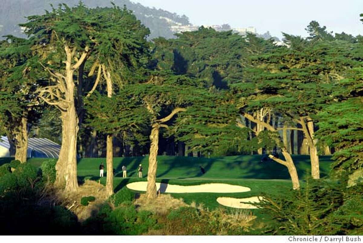 harding park tee time