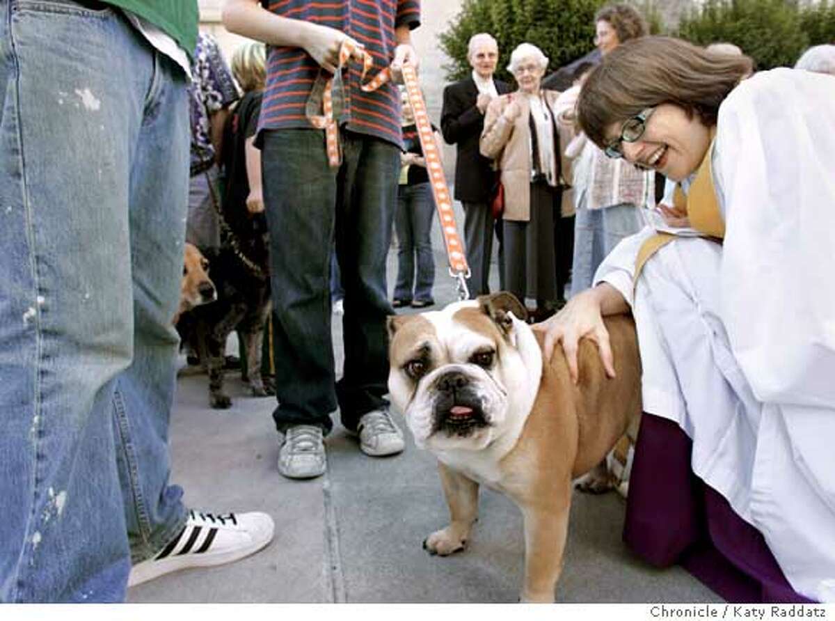 SHOWN: "Peaches" the English Bulldog gets blessed by The Reverend Sue Singer, who included a special favor that, "Peaches not get any larger." Peaches is with her owners Ben and Will Thompson from Tiburon. Animals and people are preached to at the 11 AM Choral Eucharist at Grace Cathedral. The Blessing of the Animals follows the service. Photo taken on 10/2/05, in San Francisco, CA. By Katy Raddatz / The San Francisco Chronicle