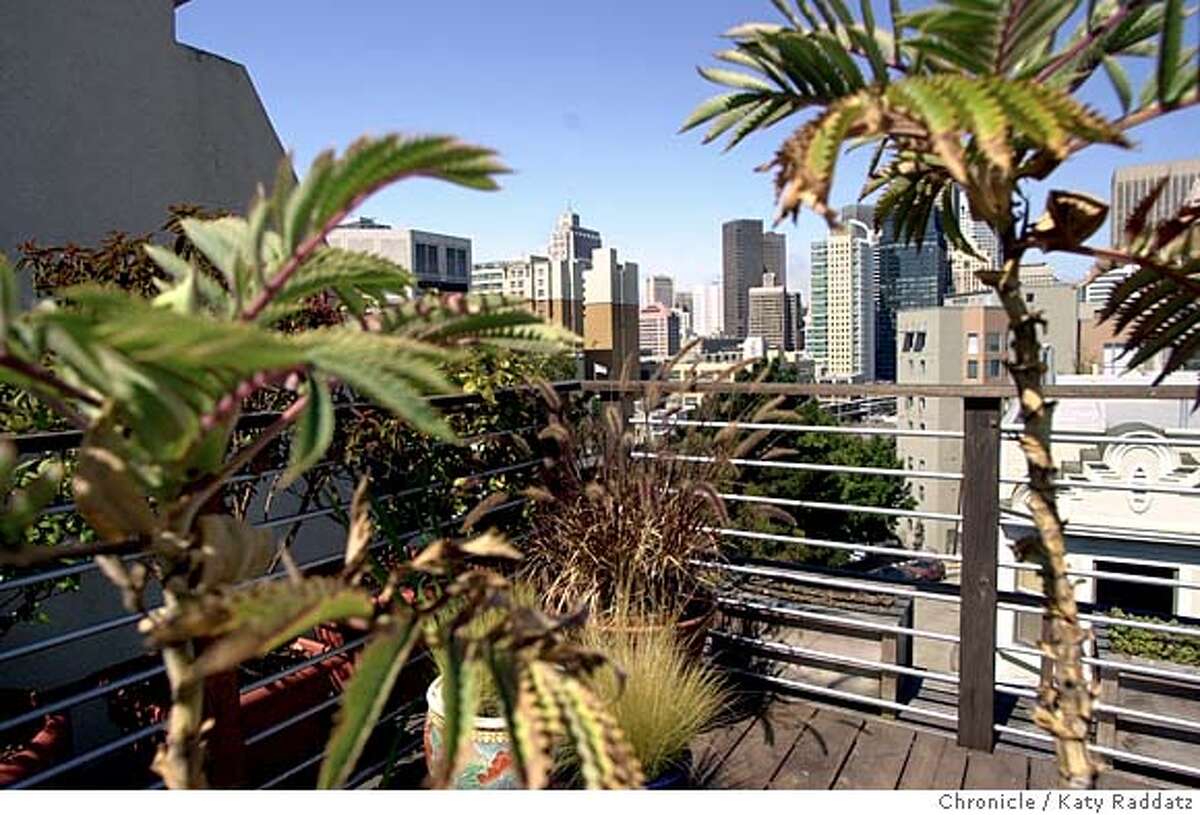 Popular in cities like New York and Washington, D.C., rooftop gardens are gaining a following with San Francisco loft dwellers. This one tops live-work units at a converted textile factory on Lansing Street. Chronicle photo by Katy Raddatz