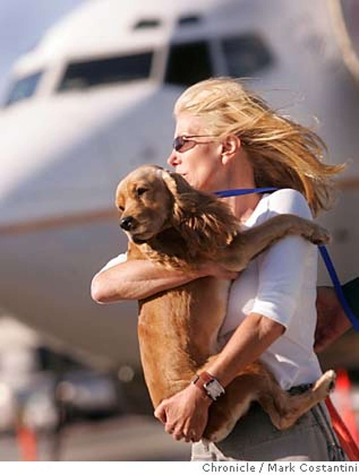 Dogs rescued from hurricane Katrina fly into SFO on Continental Airlines. Animals were brought in by Chris Penrod, pictured, carrying a rescued dog, , who's sister is married to T. Boone Pickens, who paid for the mission Photograph by Mark Costantini/S.F. Chronicle.