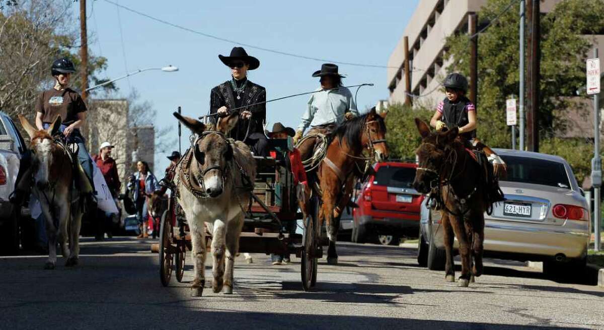 Fans Protest Wild Donkeys Being Killed At Big Bend Park