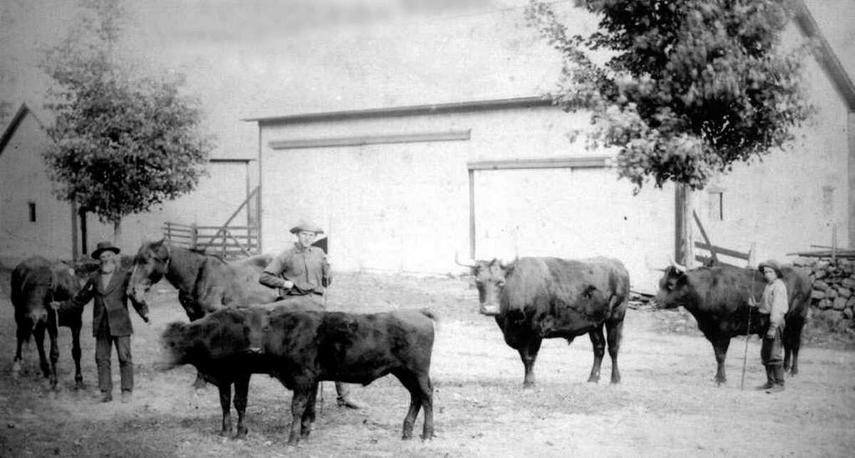 Sullivan Farm rich in its history