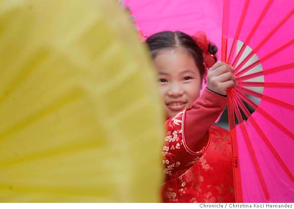 Chinese New Year Parade   Year Of The Pig