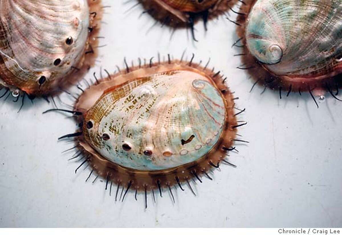 Abalone's luster grows / Ecofriendly aquaculture lures endangered