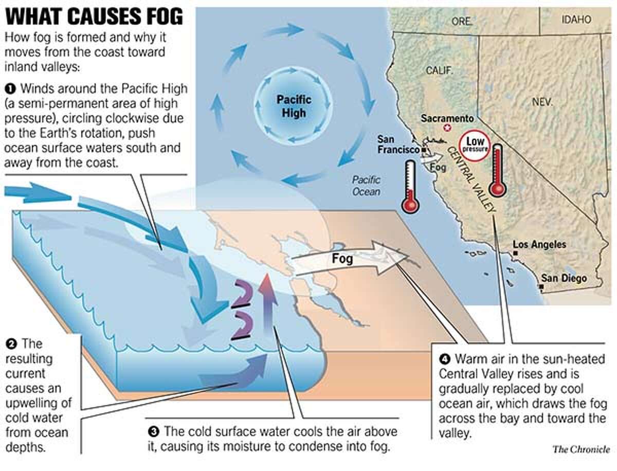 FOG HEAVEN / The sun will come out tomorrow. Or maybe not. It's summer