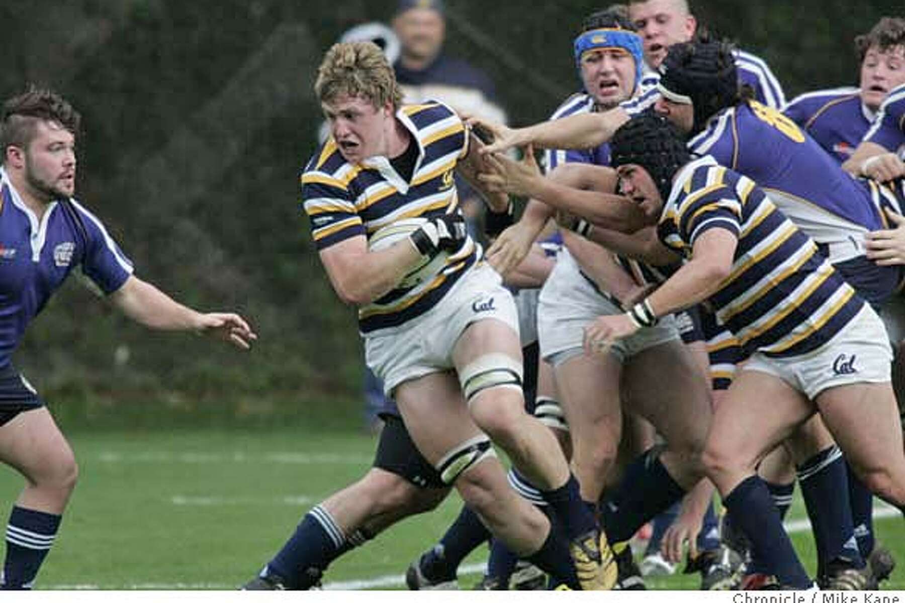 Cal rugby: college sports' most dominant team