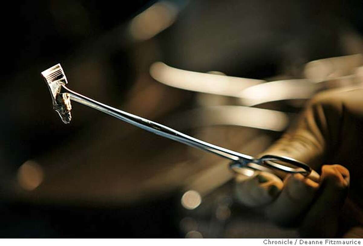 OPERATION LION HEART / UPDATE