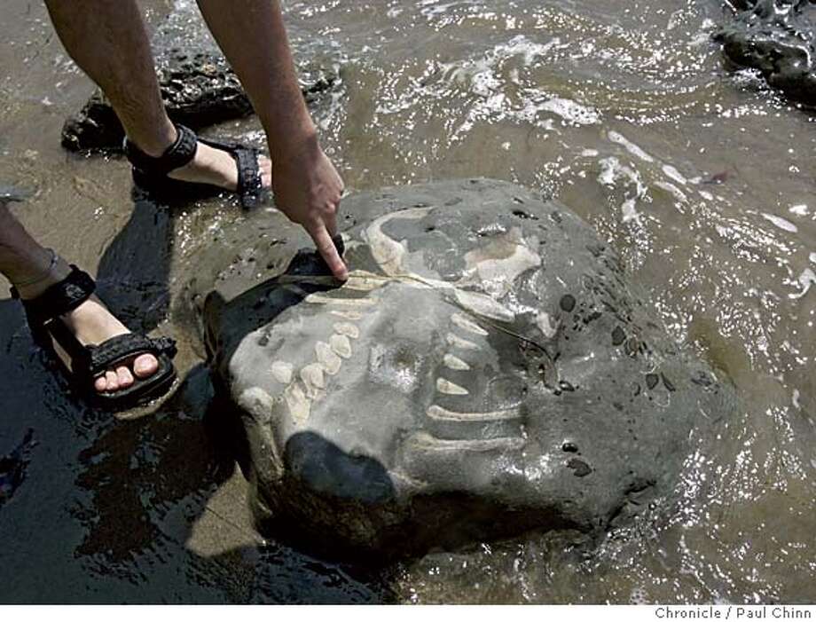 SANTA CRUZ COUNTY / Fossils by the sea / Northern California offers