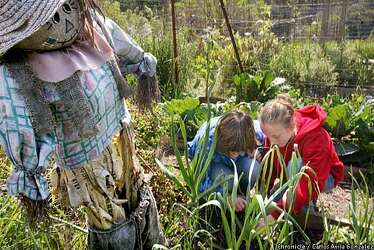 When Learning Comes Naturally Outdoor Education Has Been A