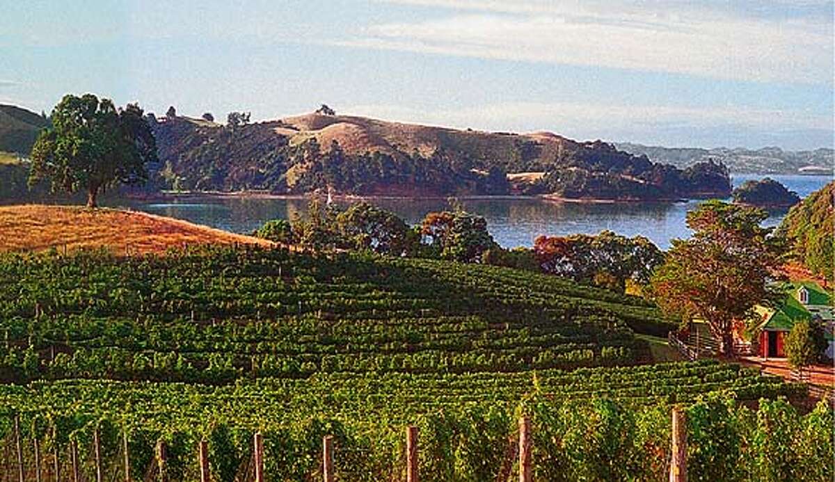 This photo shows the Goldwater red wine vineyard overlooking Putiki Bay on Waiheke Island. (HANDOUT PHOTO)