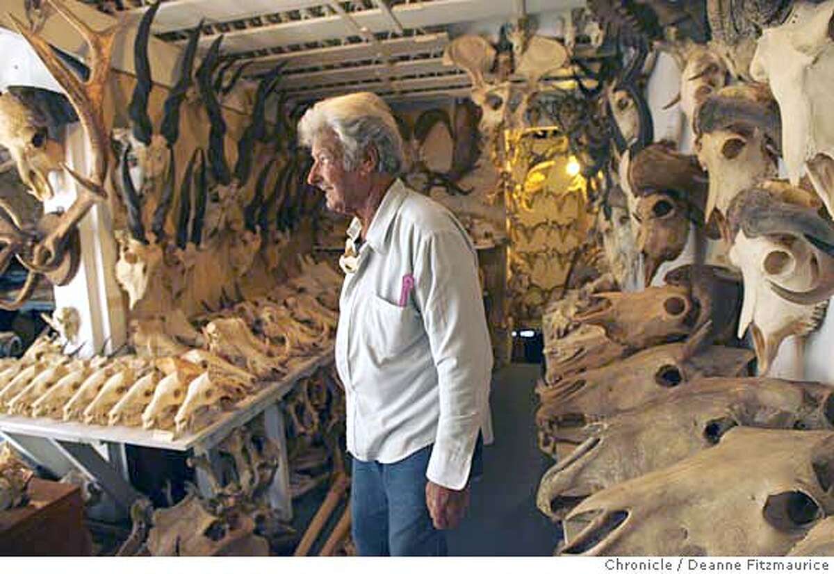 This is Ray's basement. Ray Bandar is a biologist who collects animal skulls. He has 6,000 animal skulls in his home. Photographed in San Francisco on 1/17/07. Photo / Deanne Fitzmaurice