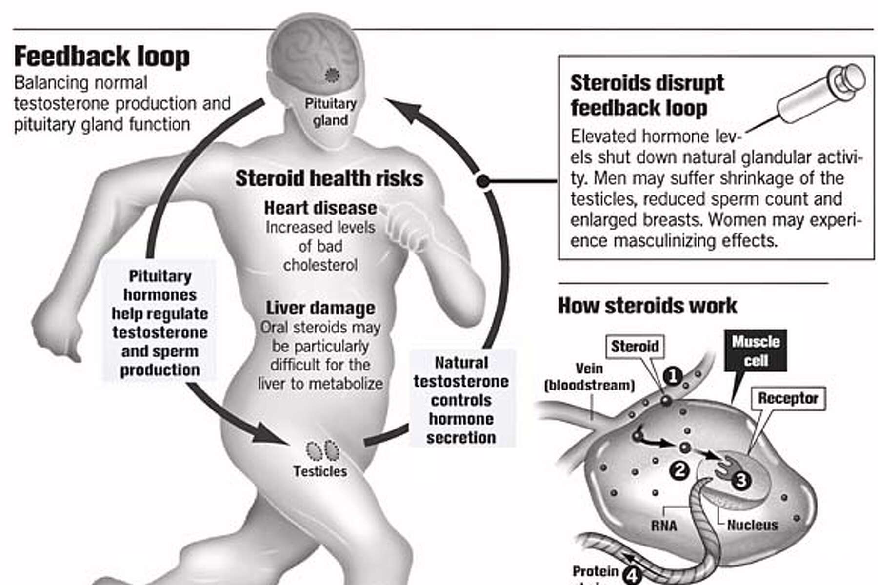 3 Ways You Can Reinvent legalsteroids25 Without Looking Like An Amateur