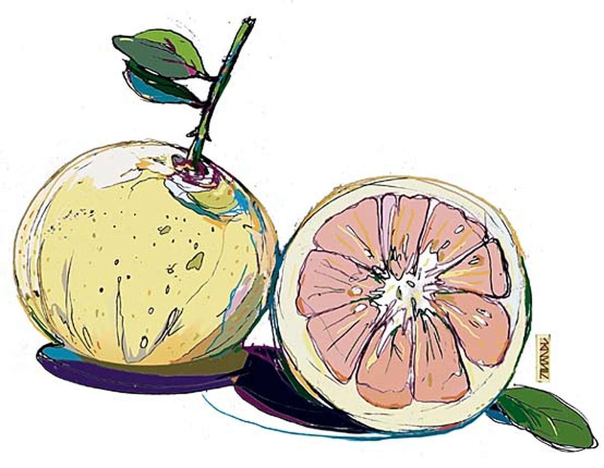 Grapefruit. Chronicle illustration by Lance Jackson