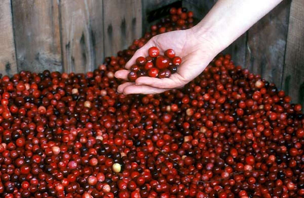 Cranberry fields forever / Bandon is Oregon's saucy little getaway