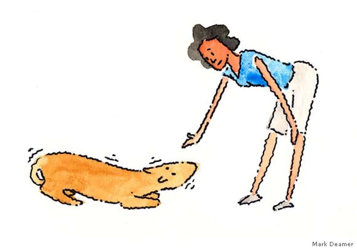 How to rub a dog the right way / Sudden moves make some a little nervous