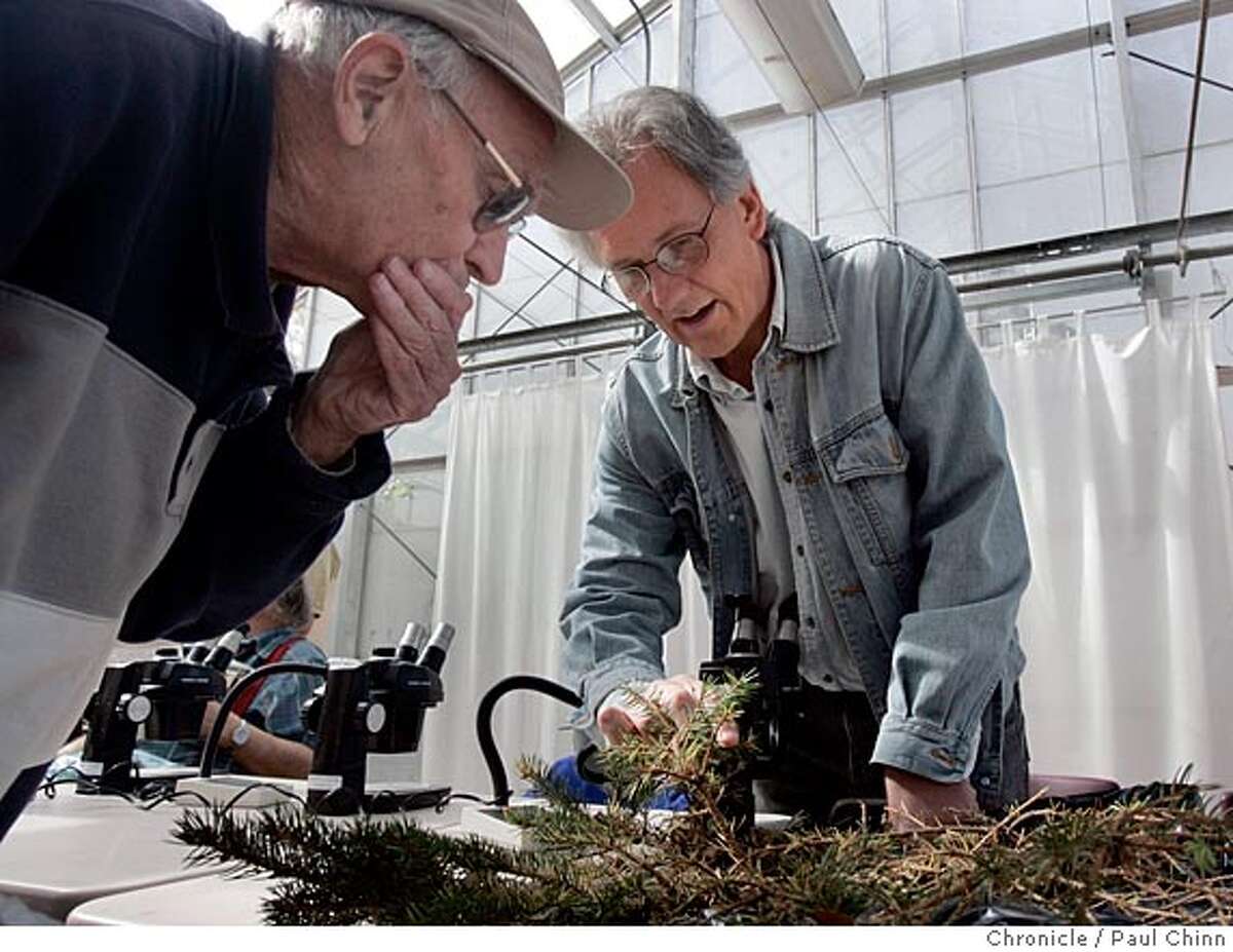 カリフォルニア大学植物園植物園病植物クリニック