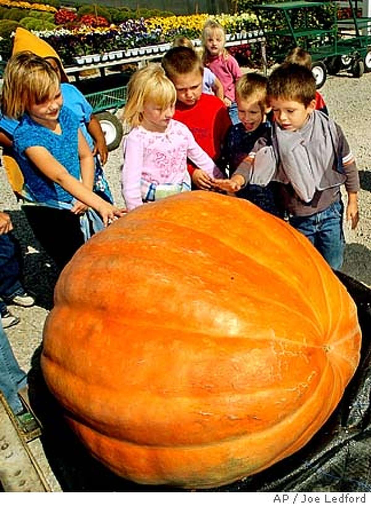 Beyond the jacko�lantern to the behemoth