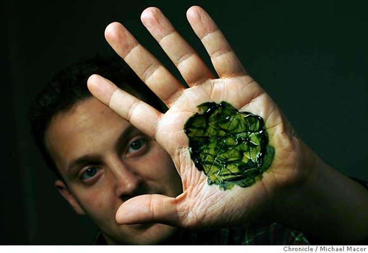 cleantech_149_mac.jpg The algae completely harmless as shown by Jonathan Wolfson. Co-Founders Jonathan Wolfson and Harrison Dillon of the company "Solazyme" in Menlo Park. They are engineering a Green Micro Algae Green Micro Algae in large quantities to create clean renewable bio-fuels. Cleantech is the Silicon Valley's latest incarnation, type of tech industry focused on finding new sources of energy or using existing resources more wisely. Photographed in, San Francisco, Ca, on 3/2/07. Photo by: Michael Macor/ San Francisco Chronicle Mandatory credit for Photographer and San Francisco Chronicle No sales/ Magazines Out