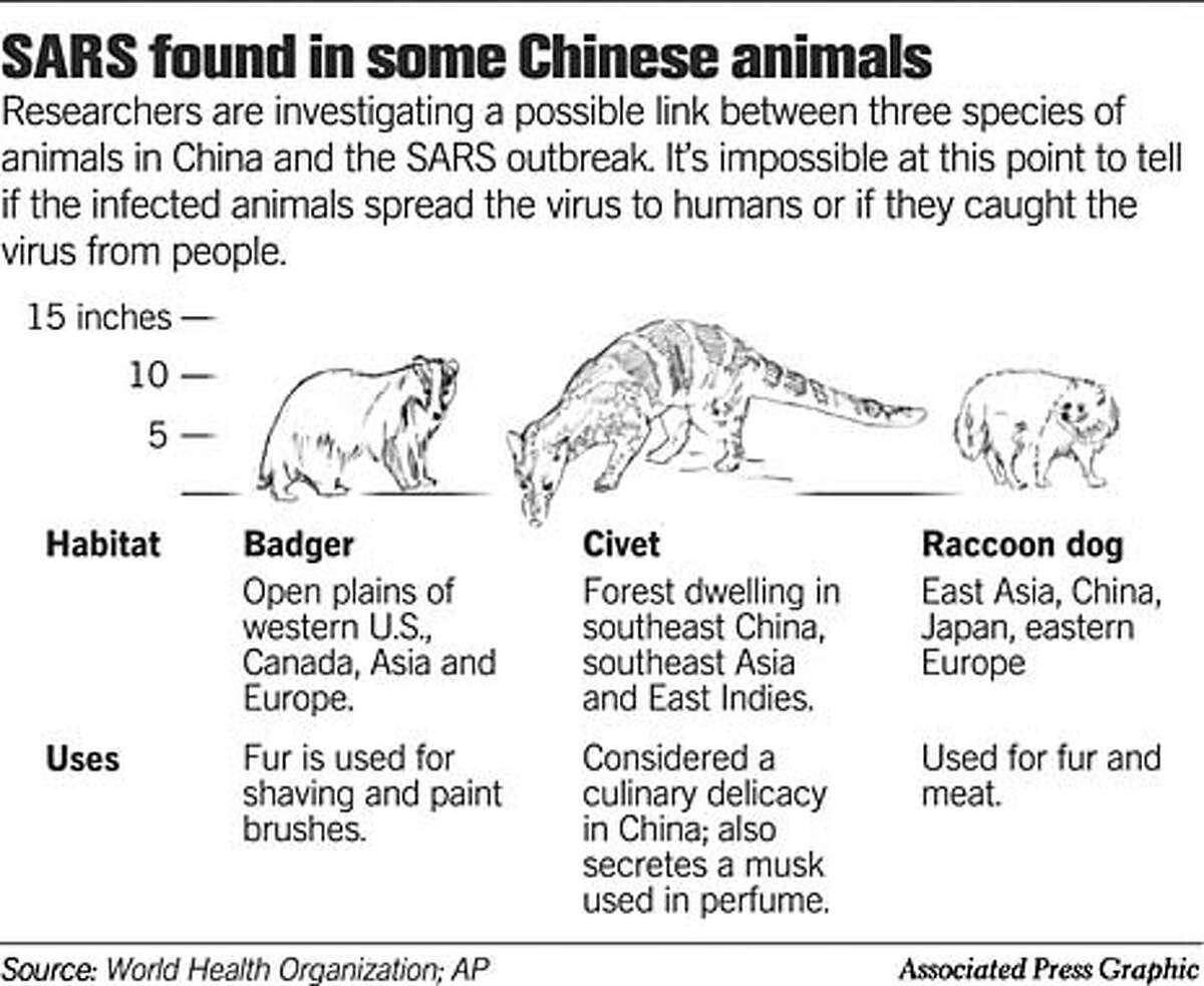SARS Found in Some Chinese Animals. Associated Press Graphic