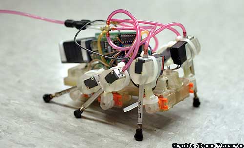 Roach Microbot Roaches today, robots tomorrow / Stanford team's models mimic domestic ...