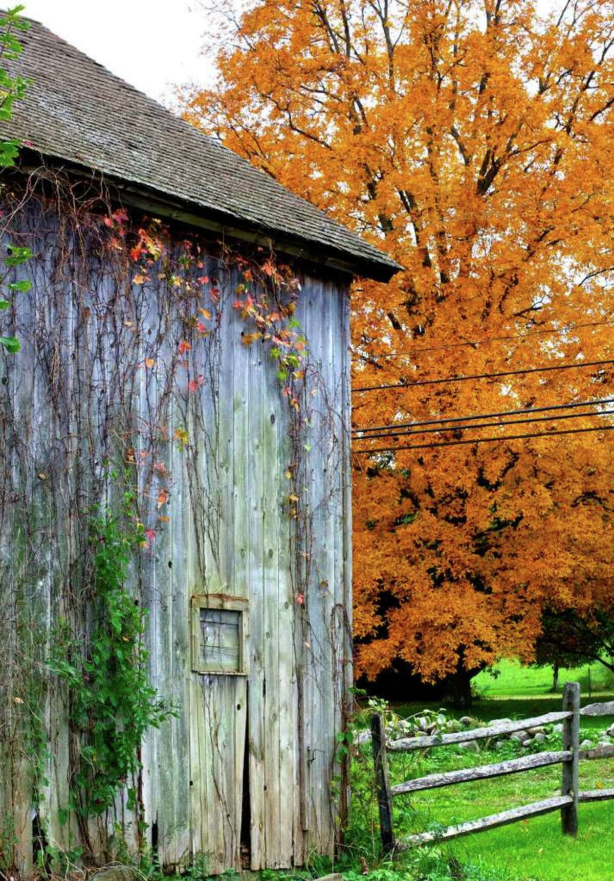 Sullivan Farm -- a legacy built on hard work