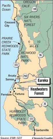 Behind The Redwood Curtain Humboldt A Separate World Of Misty