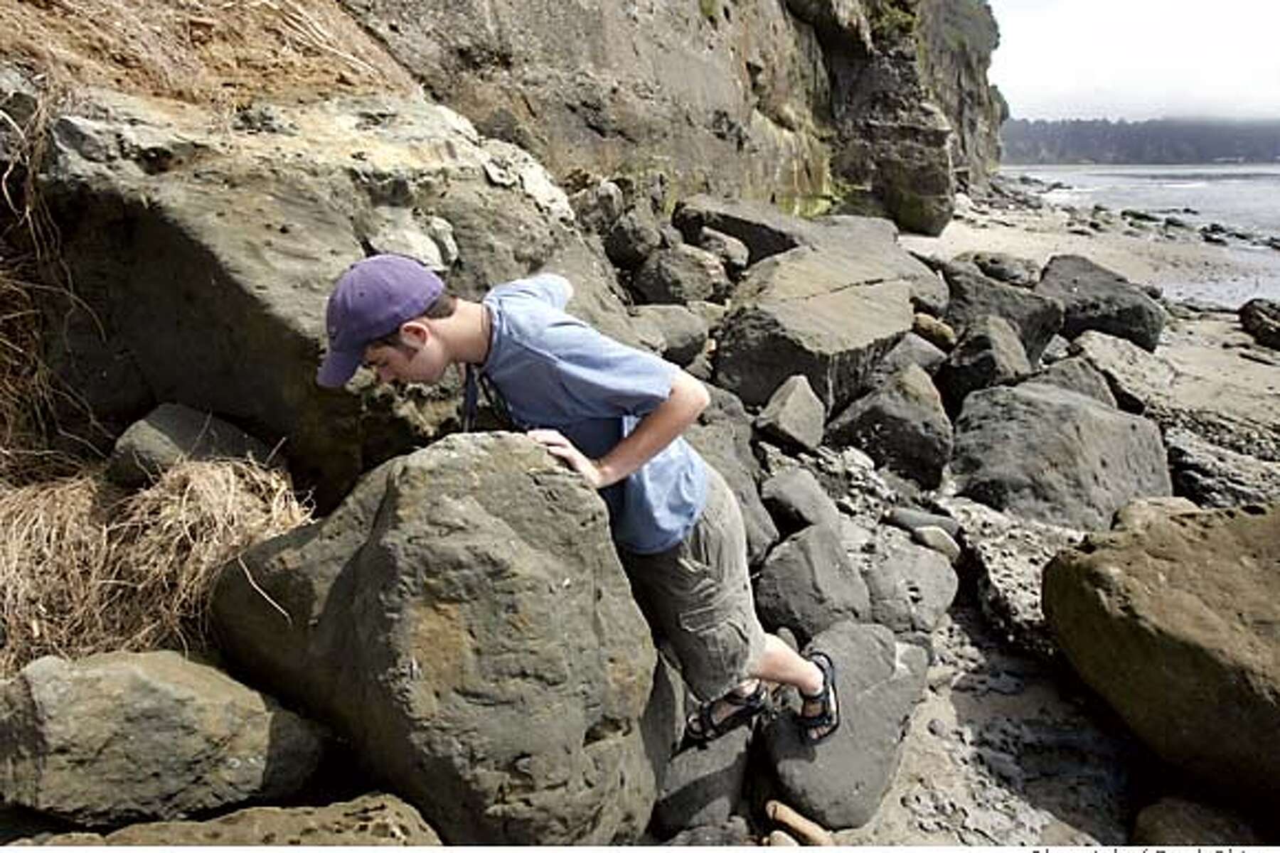 SANTA CRUZ COUNTY / Fossils by the sea
