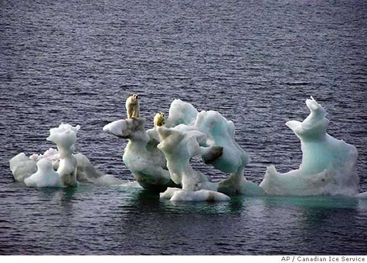 This photo released by the Canadian Ice Service Friday Feb. 2, 2007 and taken by photographer Dan Crosbie in 2004 shows two polar bears on a chunk of ice in the arctic off Northern Alaska. The words of warning about global warming from the top panel of international scientists Friday Feb. 2, 2007 were purposely blunt: "warming of the climate system is unequivocal," the cause is "very likely" man-made, and "would continue for centuries." Officially releasing a 21-page report in Paris on the how, what and why the planet is warming _ though not telling the world what to do about it _ the Intergovernmental Panel on Climate Change gave a bleak observation of what is happening now and an even more dire prediction for the future. (AP Photo/Dan Crosbie/Canadian Ice Service via PA, HO)