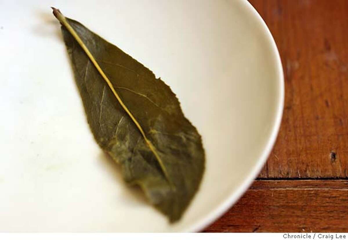 TEA24_355_cl.JPG Story on premium, whole leaf teas. This is at Far Leaves, a neighborhood tea house at 2979 College Avenue at Ashby in Berkeley. Donna Lo is the proprietor. Photo of a tea leaf of Li-Shan Hogh Mountain Oolong after it has been infused with water. Before the water infusion, it is dry and tightly rolled up. Event on 1/15/07 in Berkeley. photo by Craig Lee / The Chronicle MANDATORY CREDIT FOR PHOTOG AND SF CHRONICLE/ -MAGS OUT