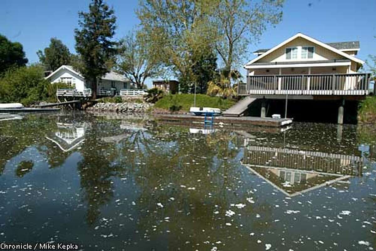 Island paradise may be bulldozed / Delta denizens never got county