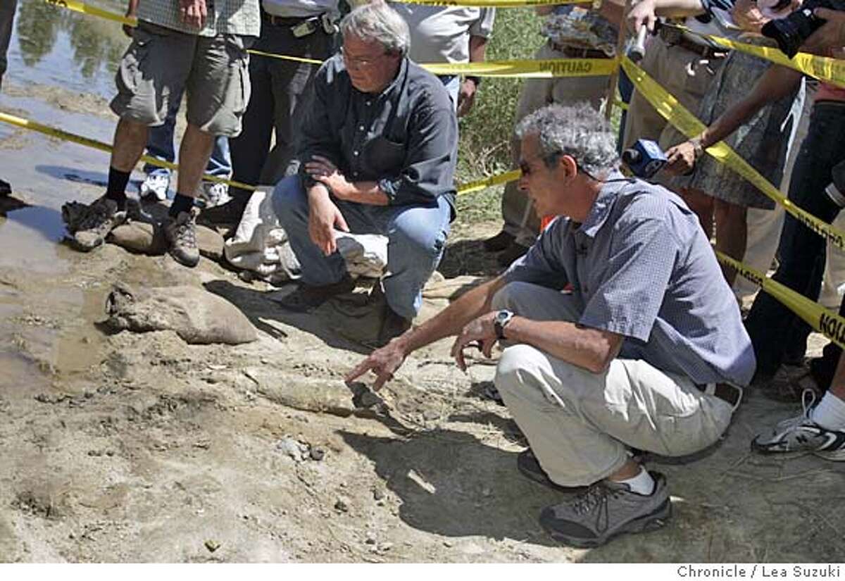 SAN JOSE / Fossilized bones may reveal complete specimen / Cal