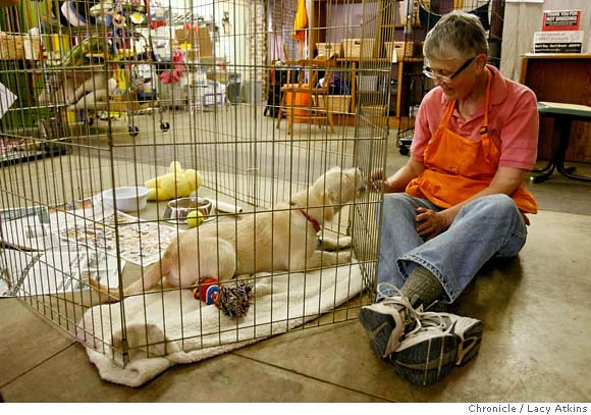 BERKELEY / Pet rescuers chased out of town / Milo Foundation quitting after  neighbors complain