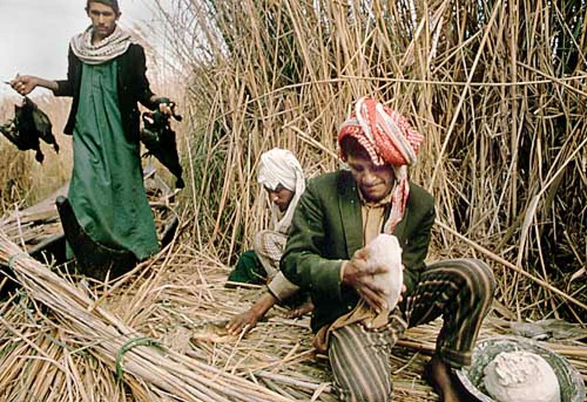 a-dream-of-restoring-iraq-s-great-marshes-wetlands-destroyed-by