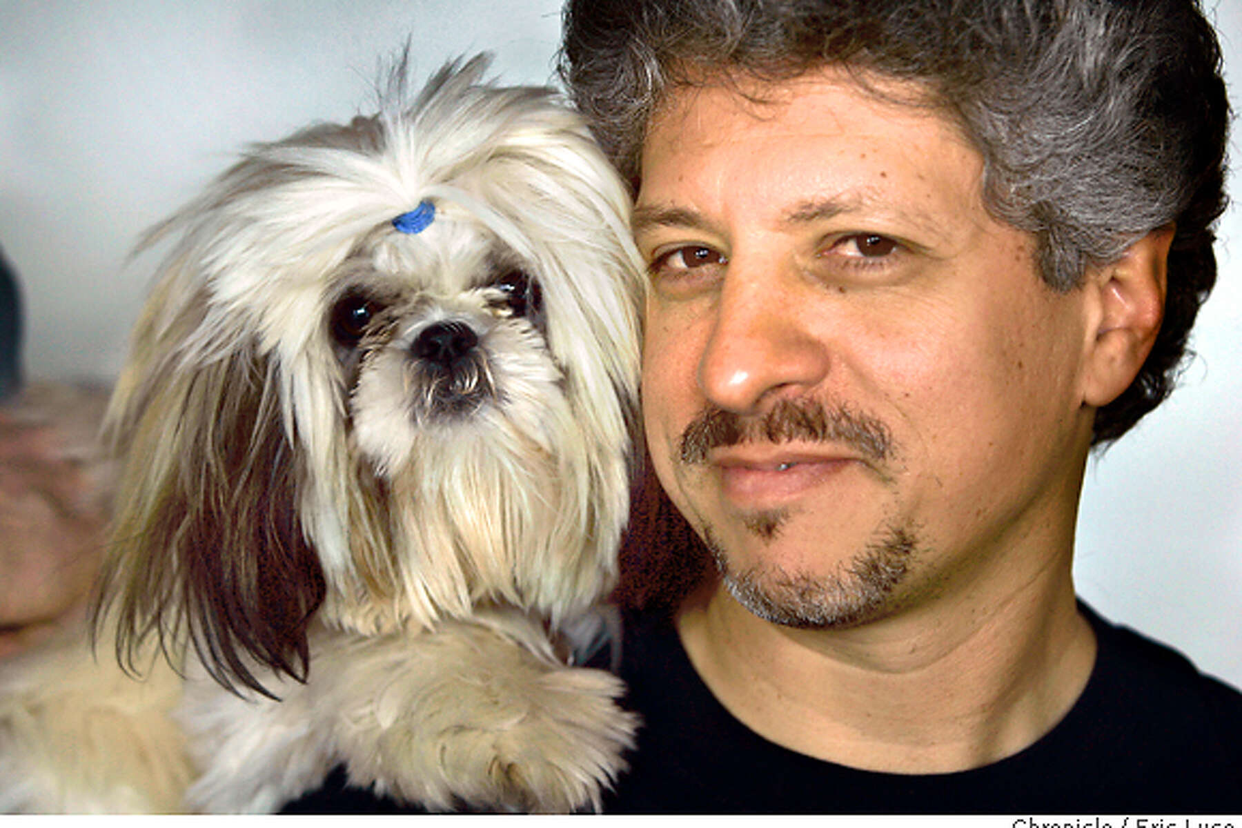 cuddle clones shih tzu