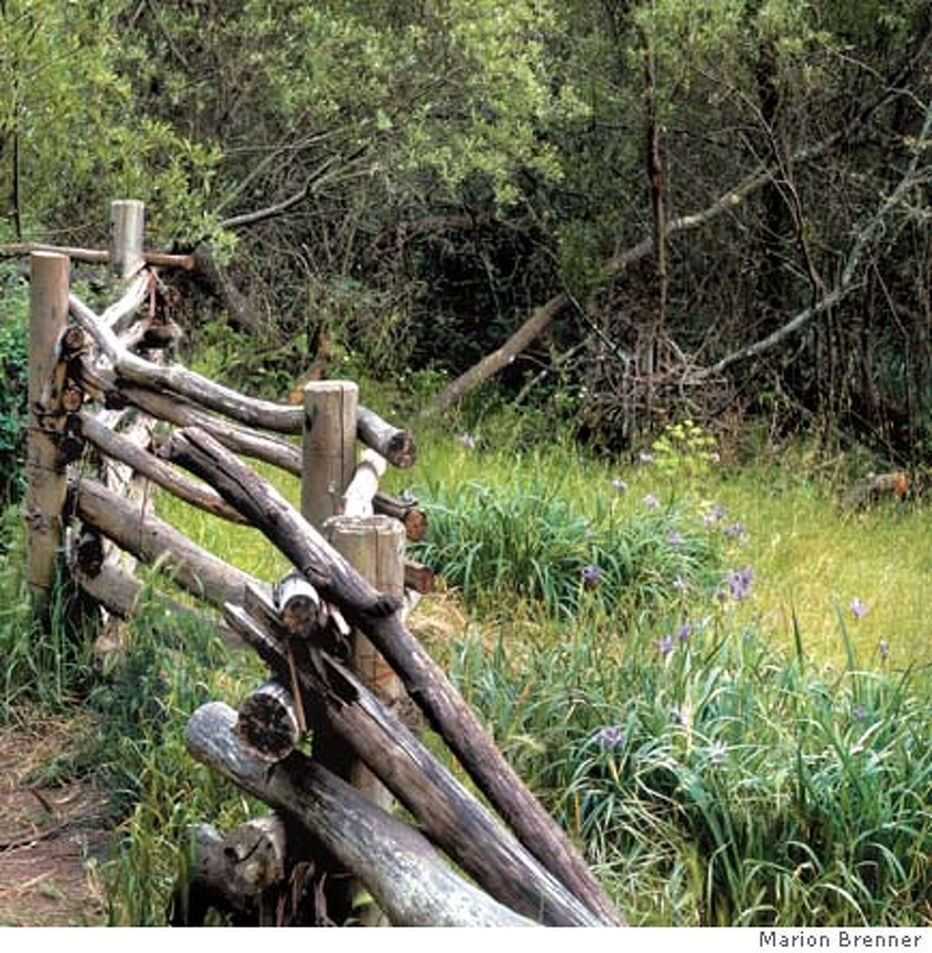 Living Truths: Land Art Performance.