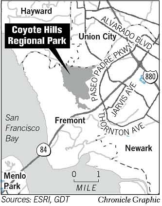 Coyote Hills has gift of discovery