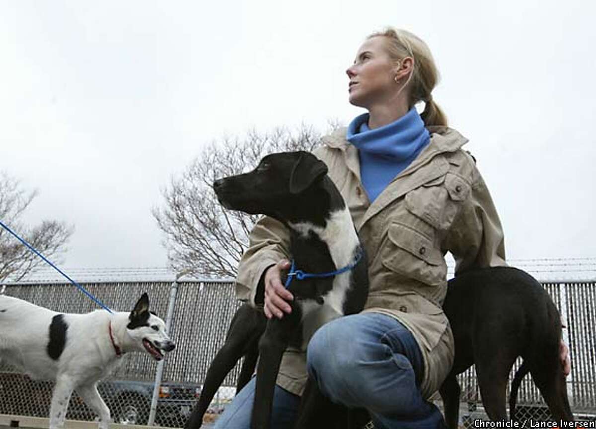 Inhumane society / Pets tossed like garbage into overwhelmed Sacramento