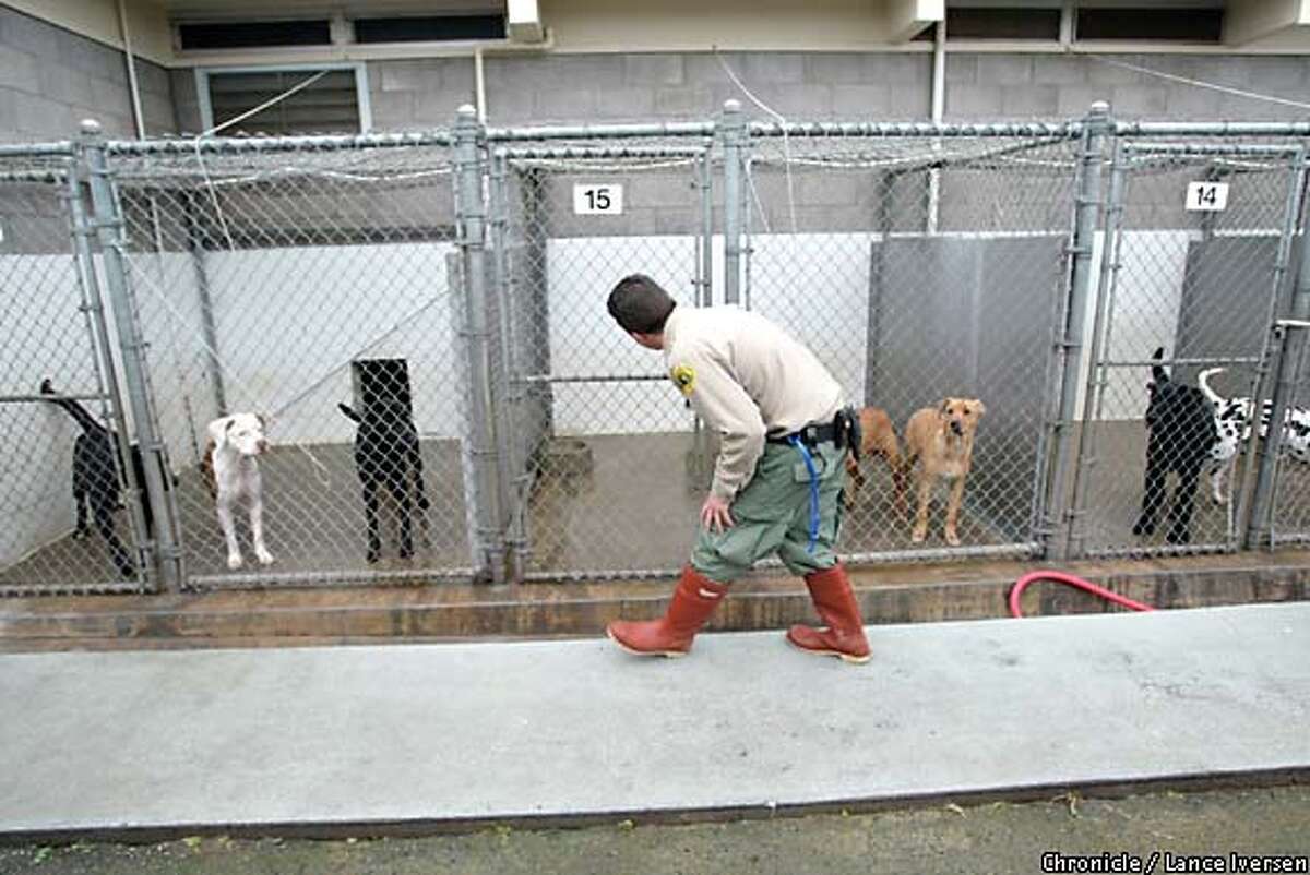 Inhumane society / Pets tossed like garbage into overwhelmed Sacramento