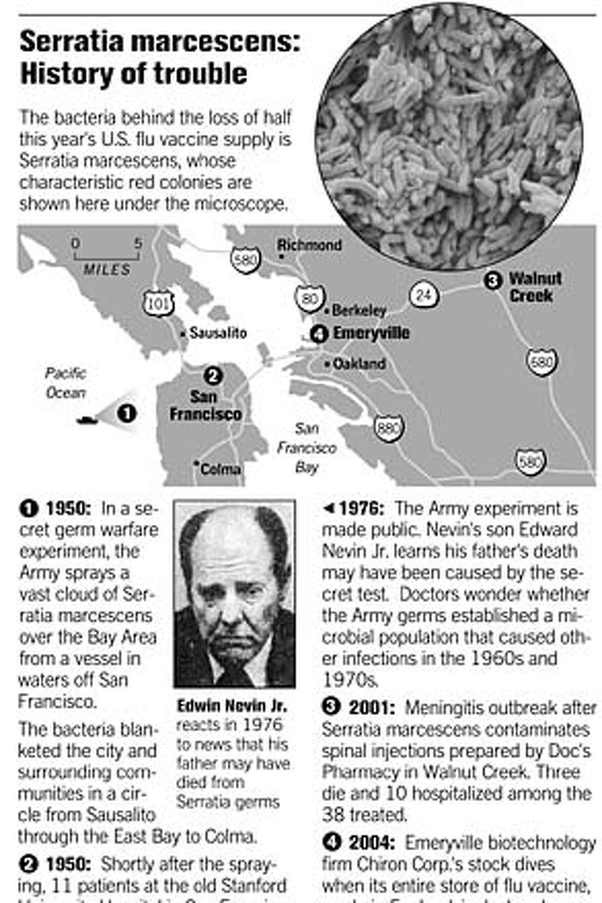 Serratia marcescens Red Pigment Bacteria Glyph Two Color 67636573 Vector  Art at Vecteezy, image size:1920x2880