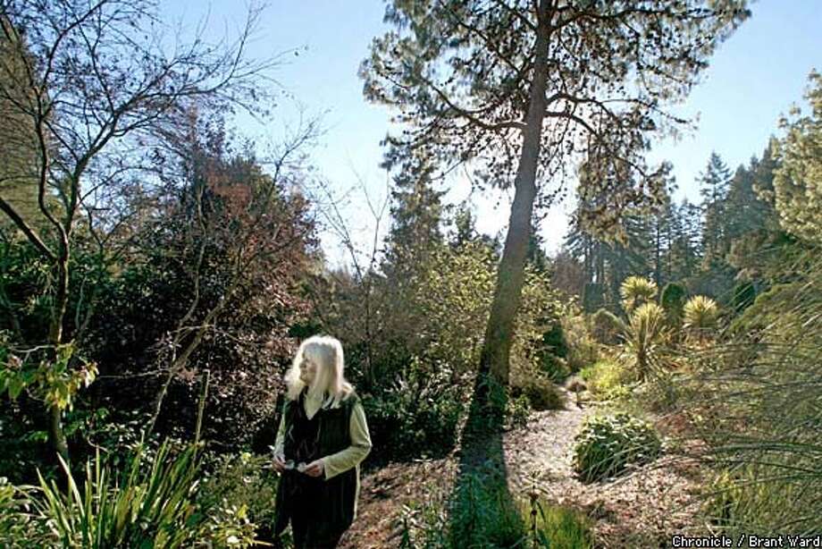 A Garden In Winter Western Hills Shows Off Its Good Bones This Rare Plants Maggie Wych Walks Past A Eucalyptus Rubidor From Australia At Her Western Hills