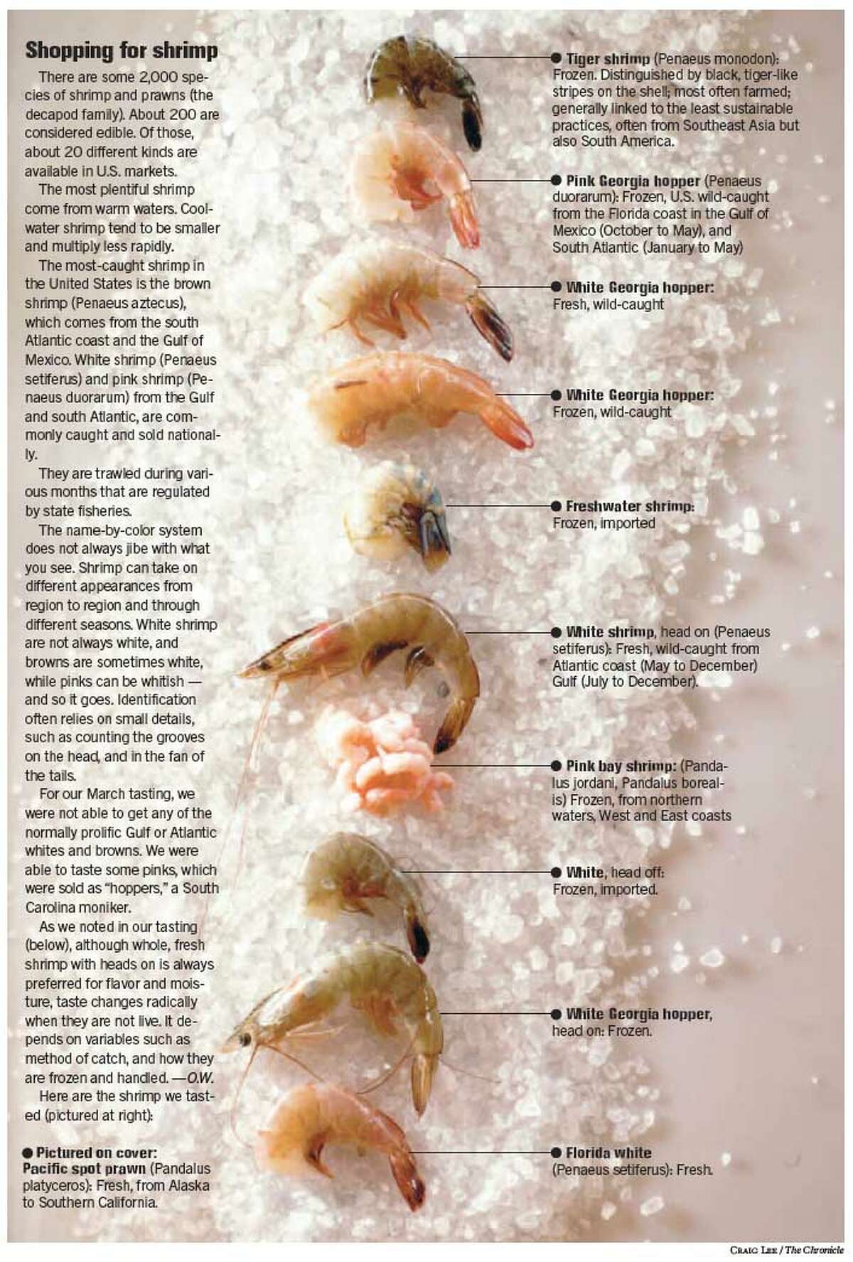 sizing-up-shrimp-it-s-america-s-favorite-seafood-but-at-what-cost-to