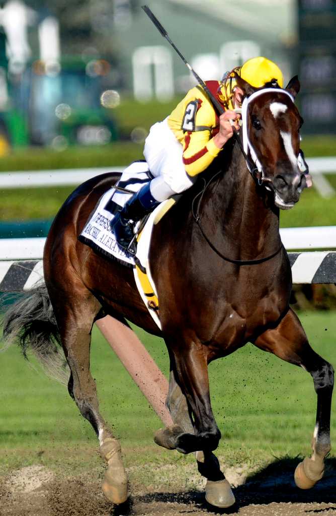 Rachel Alexandra is serious after surgery