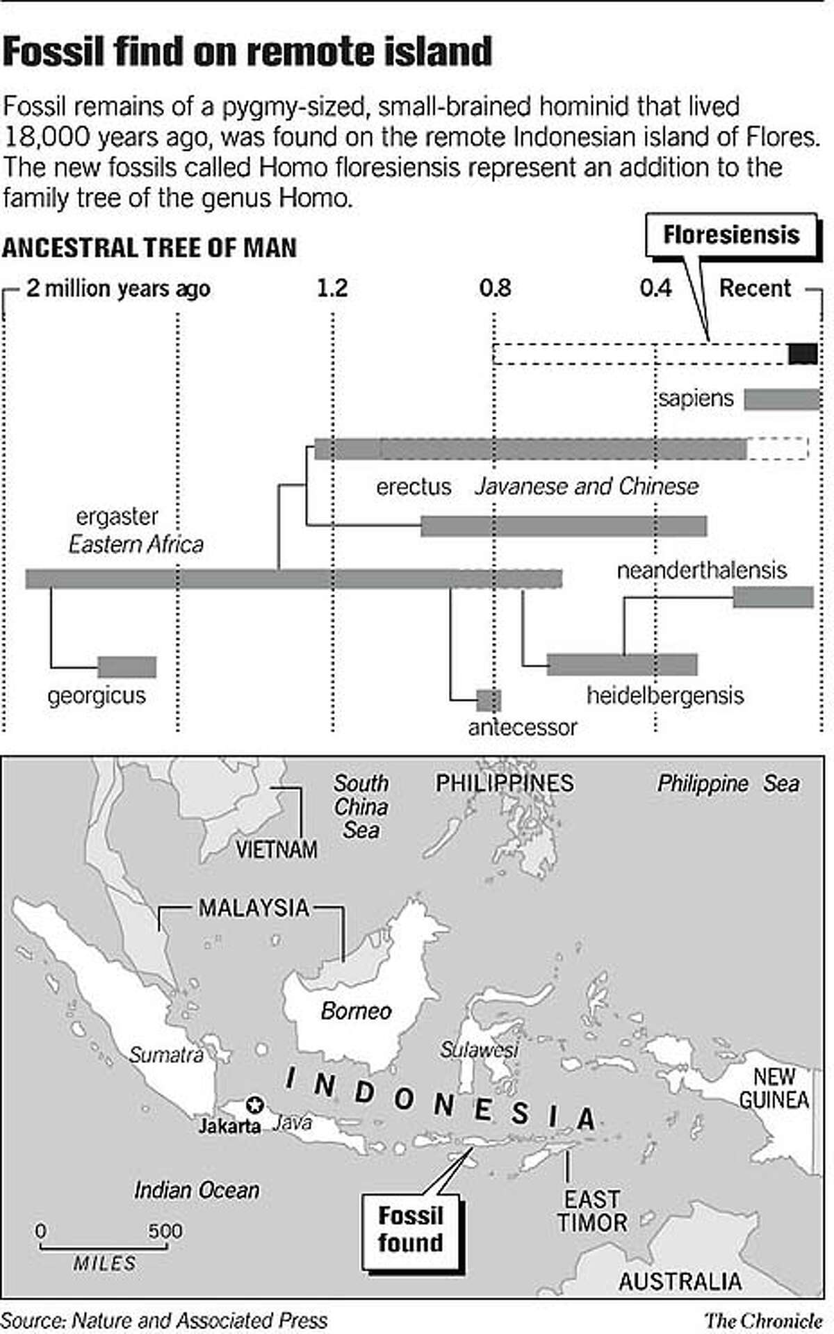 Purple Females: A New Genetic Discovery Shakes The Scientific World - v7jp98b