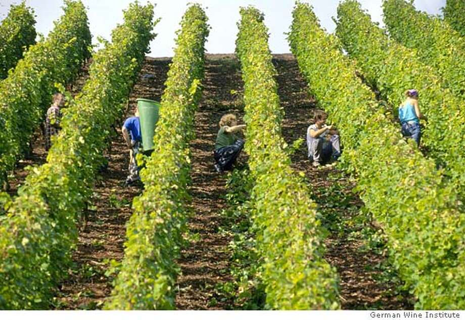 Germany's warmest year since 1540 creates historic wines SFGate