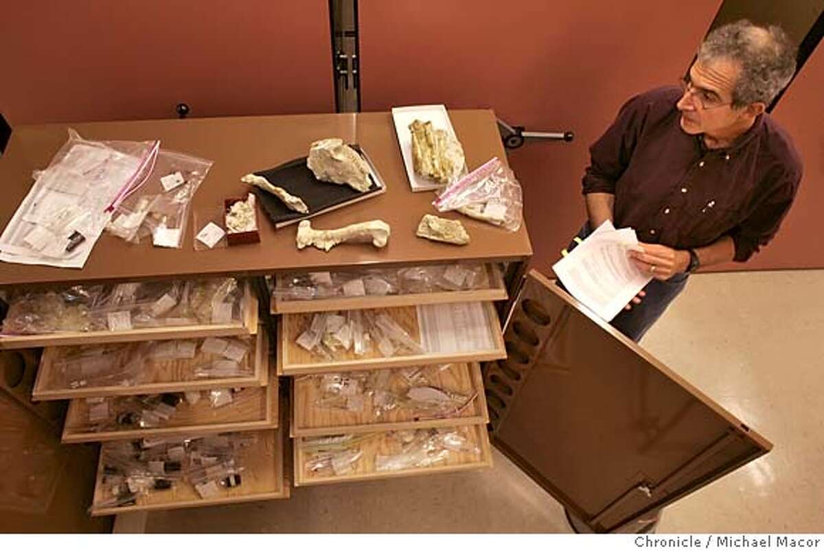 ucbones_083_mac.jpg UC Berkeley Vertibrate Paleontologist, Mark Goodwin with the collection, sorted and kept in the various drawers below. A collection of 1,200 fossils recovered from a site 3 miles outside of Fresno, Ca., in now in the hands of the Paleontology Department at UC Berkeley. 2/2/05 Berkeley, Ca Michael Macor / San Francisco Chronicle Mandatory Credit for Photographer and San Francisco Chronicle/ - Magazine Out