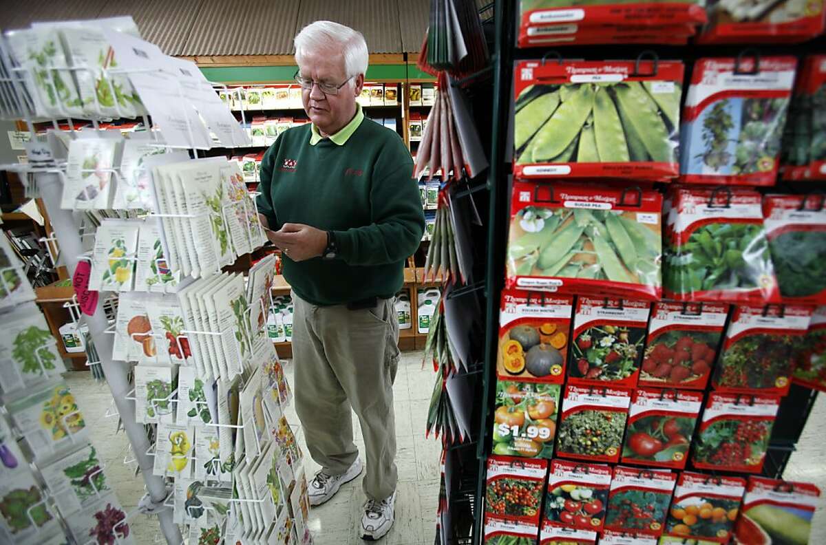 In this Tuesday, Jan. 24, 2012 photo, Manager Jerry Holub looks at seed packages on display at the Earl May Nursery and Garden Center in Des Moines, Iowa. The USDA announced Wednesday, Jan. 25, 2012 new maps for plant hardiness zones, a key to determine which plants can survive in what parts of the country. The government's official guide of colorful planting zones is being updated for a warmer 21st century. (AP Photo/Charlie Neibergall)